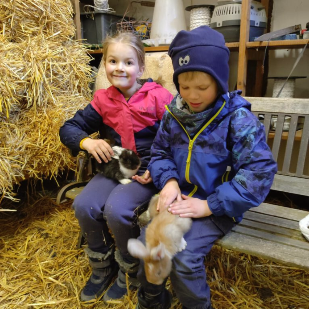 Kinder, die Hasen streicheln
